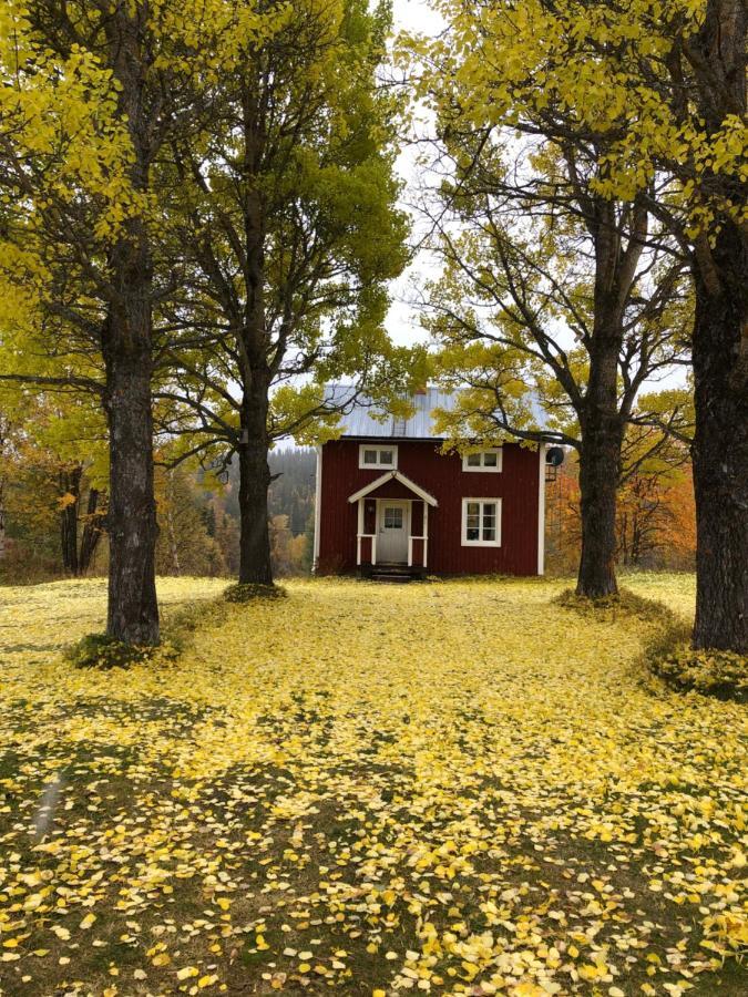 Valagardens Vaerdshus Och Camping Ab Vålådalen Buitenkant foto
